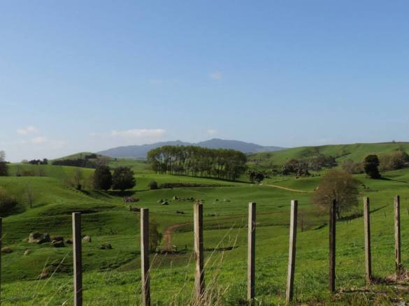 10665083_940459739095_336424532732270002_n