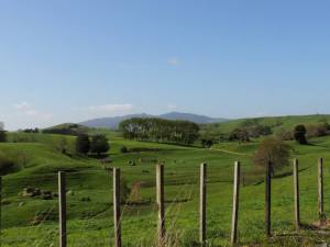 10665083_940459739095_336424532732270002_n