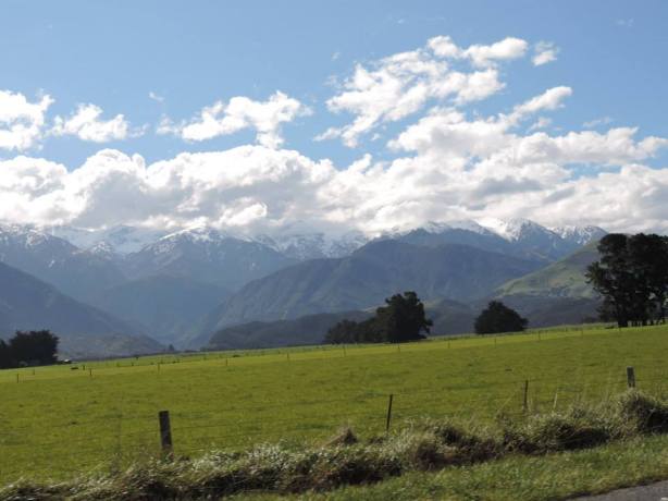 10671462_940460986595_5807399738838291035_n