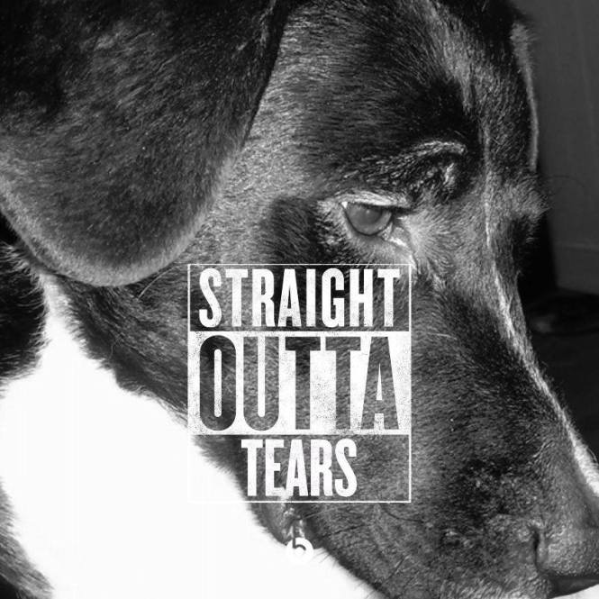 12039270_10102934090176785_1229435654598699561_n