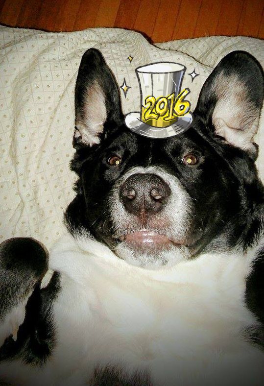 1382785_10203979398484890_1909616269759517018_n